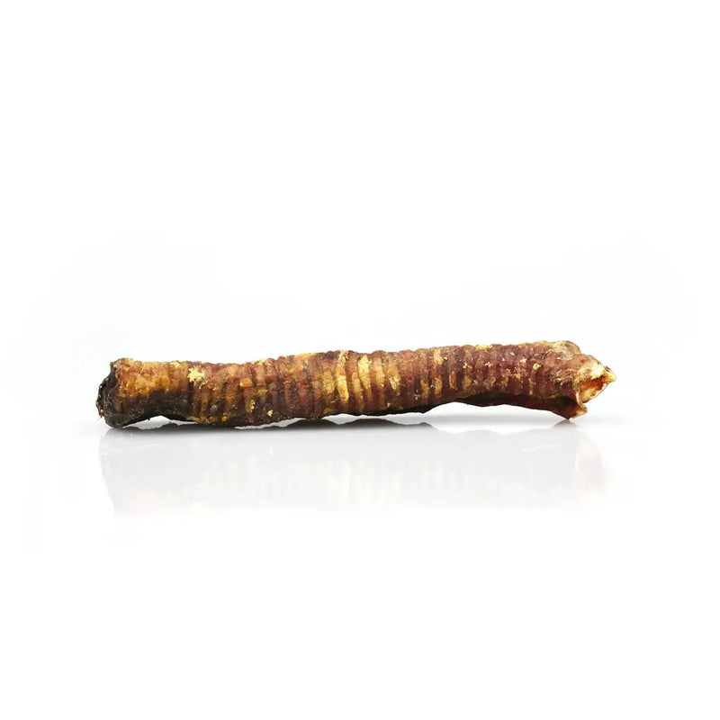 Lamb trachea for clearance dogs